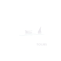 aswan tours sa de cv